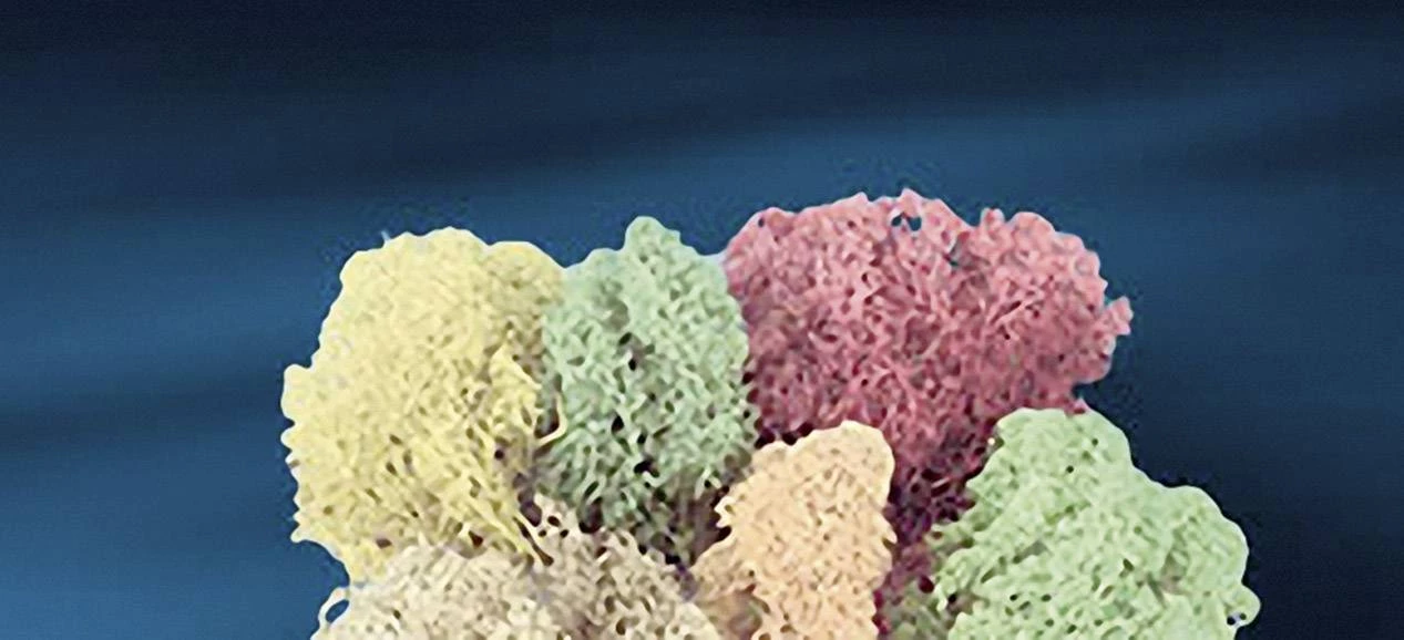 Dekorativni materijal