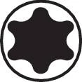 Torx-Bits