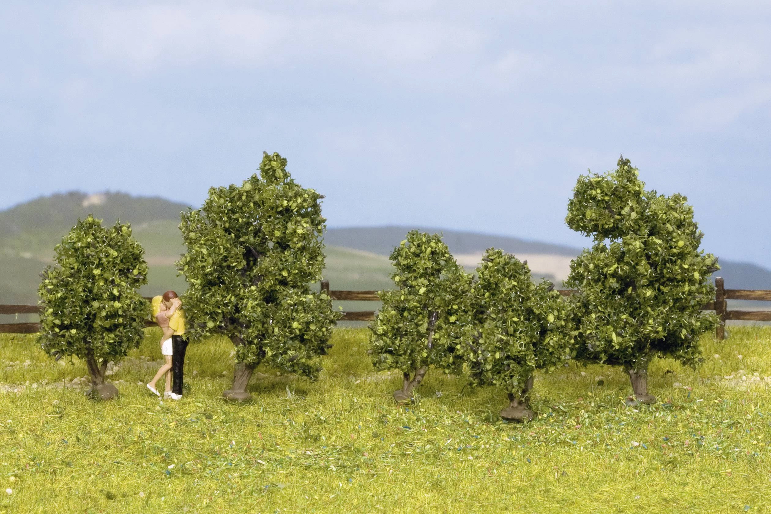 Uređenje kraj, obrazi