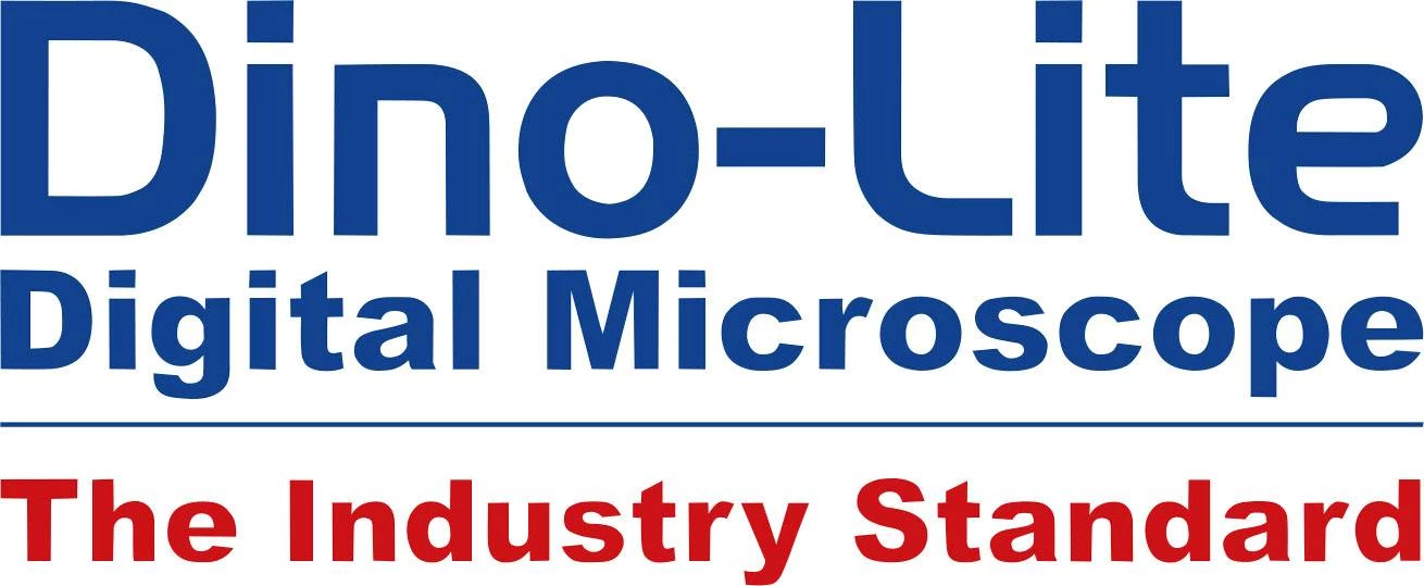 Dino Lite