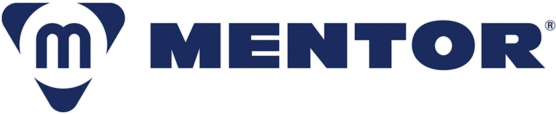 Mentor