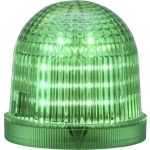 Signalna svjetiljka LED Auer Signalni uređaji zelena trajno svjetlo, treperavo svjetlo 230 V/AC