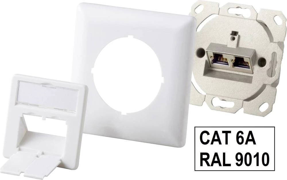 Mrežna utičnica Zid Upotreba/utičnica sa središnjom pločom i okvirom CAT 6A 2 ulaza Renkforce NDU-5010 Čista bijela(9010) slika