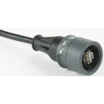 RJ45 mrežni kabel CAT 5e S/FTP 3 m crne boje, oklopljen, PUR plašt, vodootporan Bulgin