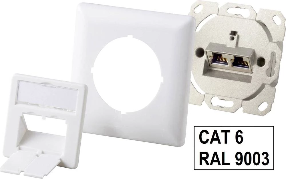 Mrežna utičnica Zid Upotreba/utičnica sa središnjom pločom i okvirom CAT 6 2 ulaza Renkforce NDU-6003 Alpsko-bijela(9003) slika