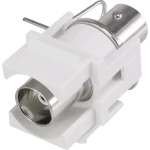 BNC ugradni modul Keystone Renkforce RF-KS-BNC