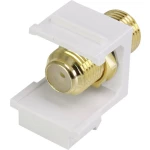 F-instalacijski modul Keystone Renkforce RF-KS-FKP