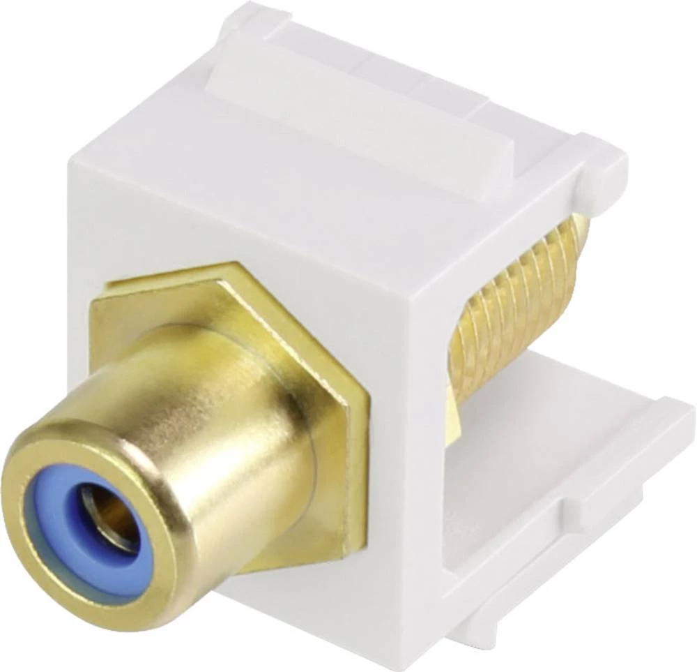 Cinch instalacijski modul Keystone Neopremljeno Renkforce RF-KS-RCAFB slika