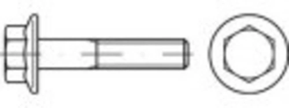 Vijci s šesterokutnom glavom M6 35 mm Vanjski šesterokutni Nehrđajući čelik A2 200 ST TOOLCRAFT TO-5360913 slika
