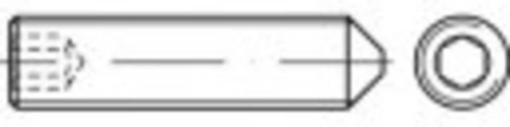 Navojni zatik M3 5 mm Nehrđajući čelik A4 TOOLCRAFT TO-5370399 100 ST slika