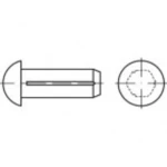 Poluokrugli čavao s utorom 5 mm Nehrđajući čelik A2 TOOLCRAFT TO-5379036 100 ST