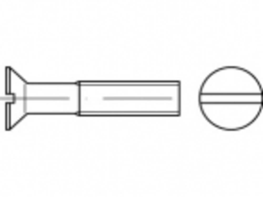 Upušteni vijci M10 50 mm Utor ISO 2009 100 ST TOOLCRAFT TO-5391984 slika