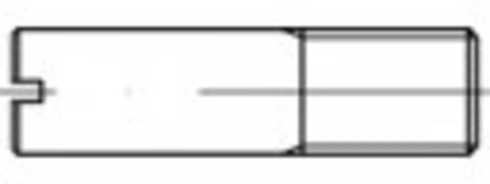 Svornjak (D) 60 mm Čelik Galvansko pocinčani TOOLCRAFT TO-5394525 1 ST slika