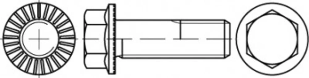 Vijci s šesterokutnom glavom M16 70 mm Vanjski šesterokutni 88913 50 ST TOOLCRAFT TO-5444577 slika