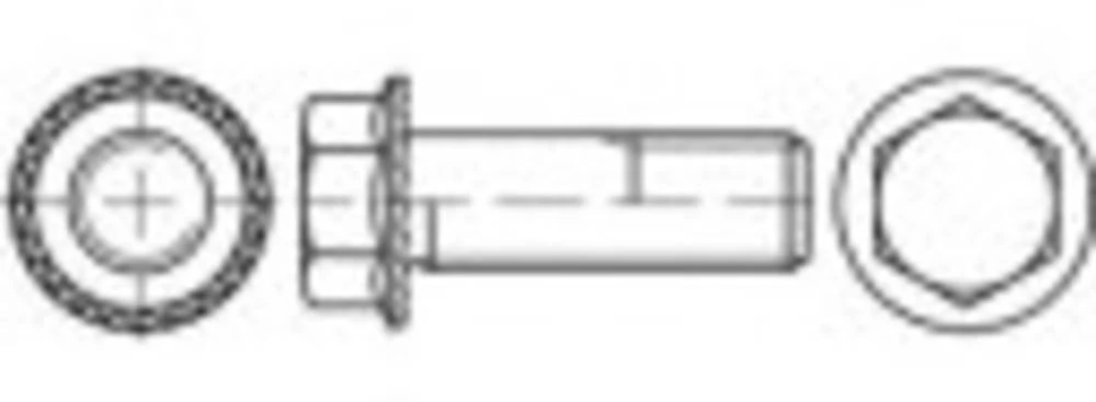 Vijci sa nazubljenim obrubom M12 50 mm Vanjski šesterokutni 88933 100 ST TOOLCRAFT TO-5444637 slika