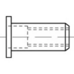 Zakivna matica M6 TOOLCRAFT TO-5455158 250 ST