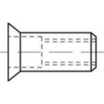 Zakivna matica M6 TOOLCRAFT TO-5455185 250 ST