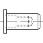 Zakivna matica M8 TOOLCRAFT TO-5455278 250 ST