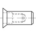 Zakivna matica M6 TOOLCRAFT TO-5455287 500 ST