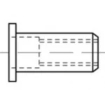 Zakivna matica M5 TOOLCRAFT TO-5455314 500 ST