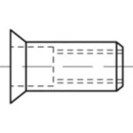 Zakivna matica M8 TOOLCRAFT TO-5455332 500 ST