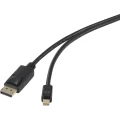 Renkforce DisplayPort Priključni kabel [1x Muški konektor Mini DisplayPort - 1x Muški konektor DisplayPort] 0.50 m Crna slika
