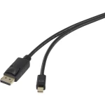 Renkforce DisplayPort Priključni kabel [1x Muški konektor Mini DisplayPort - 1x Muški konektor DisplayPort] 5 m Crna