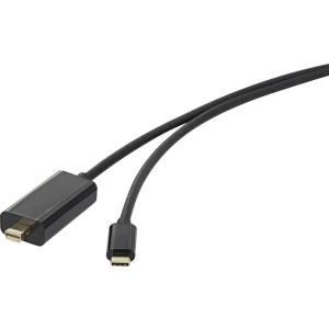 iPad Video kabel [1x Muški konektor USB-C™ - 1x Muški konektor Mini DisplayPort] 1.8 m Crna Renkforce slika