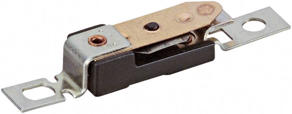 Temperaturni osigurač 60 ESKA 60 °C 6.3 A 250 V (D x Š x V) 33.5 x 7.2 x 5.4 mm 500 kom. slika