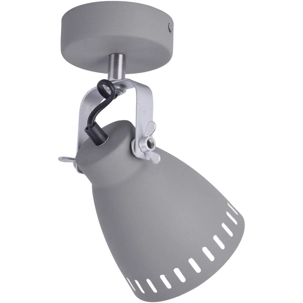 Stropni reflektor LED E27 60 W LeuchtenDirekt Eva 11050-15 Siva slika