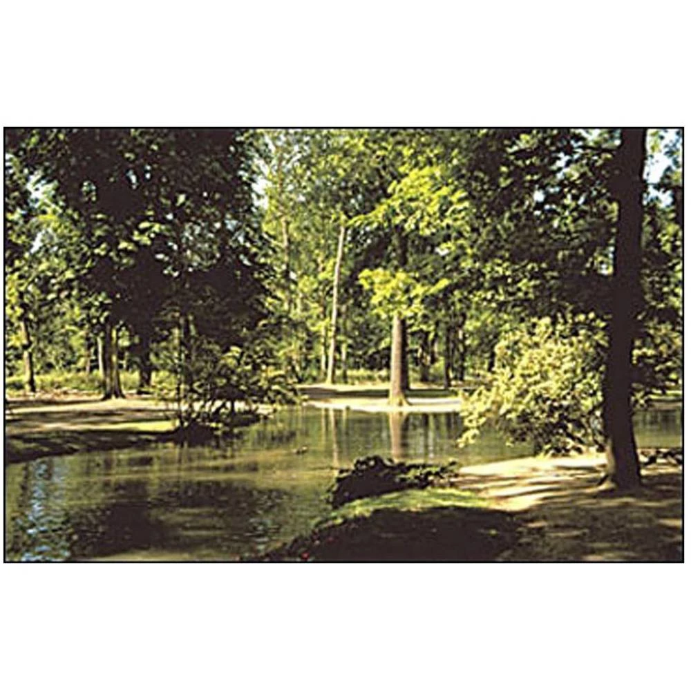 Cokin WA1T030 WA1T030 infracrveni filtar 62 mm slika