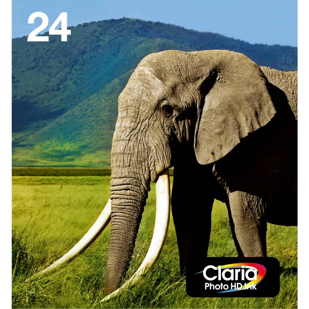 Epson tinta T2428, 24 Multipack Easy Mail Packaging original kombinirano pakiranje crn, cijan, purpurno crven, žut, svijetlo cij slika