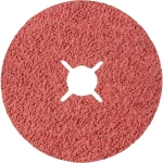 Rhodius 307099 vlaknasti disk promjer 180 mm Promjer bušotine 22.23 mm nehrđajući čelik, čelik 1 St.