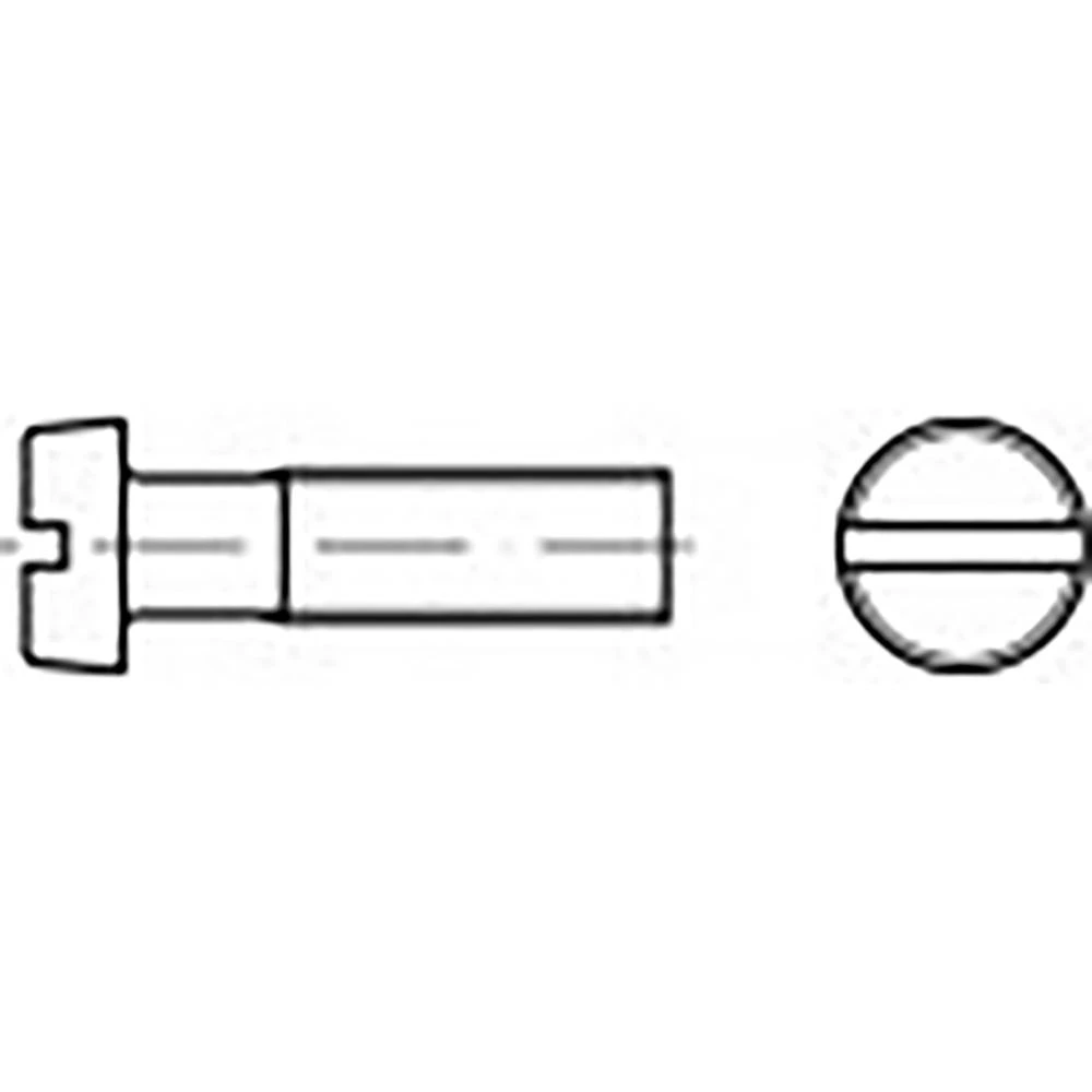 TOOLCRAFT  TO-6853164 vijci s cilindričnom glavom  M5 40 mm utor DIN 84   nehrđajući čelik V4A A4 100 St. slika