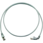 LAN (RJ45) Mreža Priključni kabel CAT 6A S/FTP 2.00 m Siva Vatrostalan, Bez halogena Telegärtner