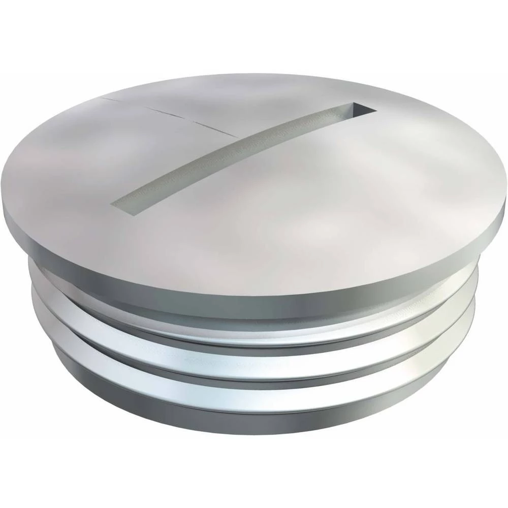 Slijepi vijak PG21 Metal Prirodna OBO Bettermann 168 MS PG21 50 ST slika