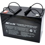 XCell LFP12100 specijalni akumulatori LiFePo blok vijčani kontakt LiFePO 4 12.8 V 100 Ah