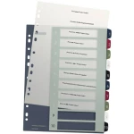 Leitz Register 1237 Style DIN A4 1-10 Polipropilen Višebojna 10 pregrada za registrator Ekstra širok, PC-zapisiv 1237-00-00