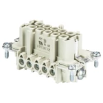 Wieland Electric 70.300.1040.0 ženski umetak Ukupan broj polova 10 10 St.
