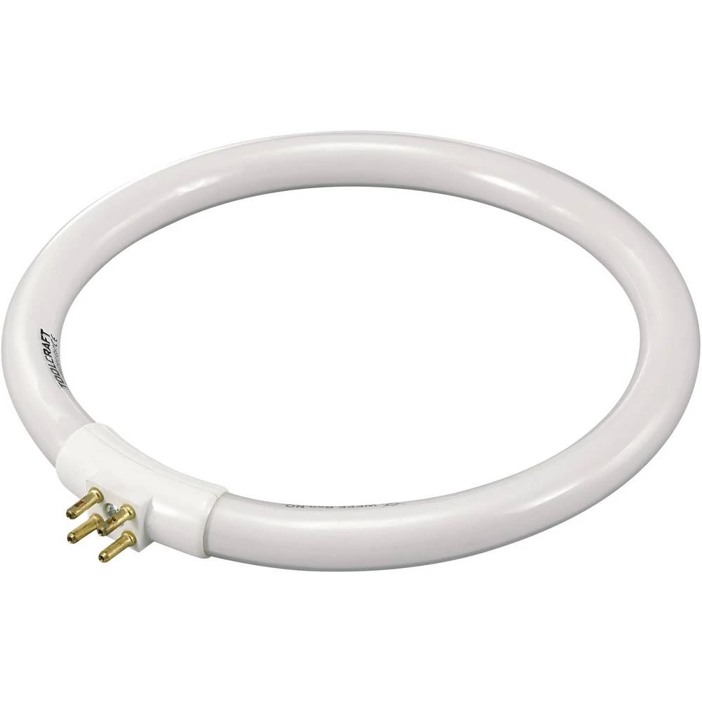 TOOLCRAFT fluorescentne cijevi Energetska učinkovitost 2021: G (A - G) G10q 12 W hladno bijela prstenasti oblik (Ø x V) slika