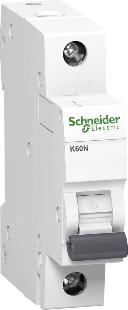 Zaštitna sklopka za vodove 1-polni 40 A Schneider Electric 3814618 slika