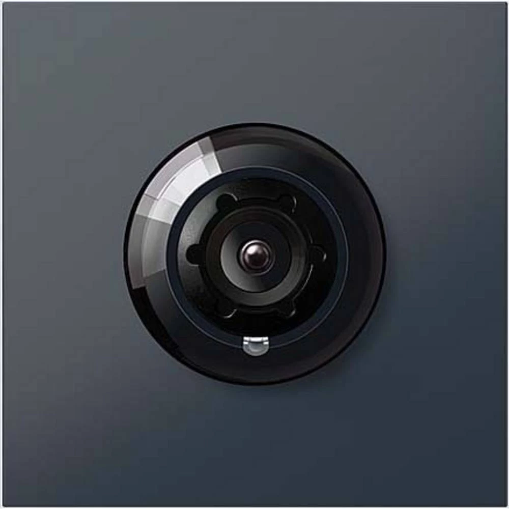 Siedle 210004899-02 video portafon za vrata  funkcijski modul  antracitna boja slika