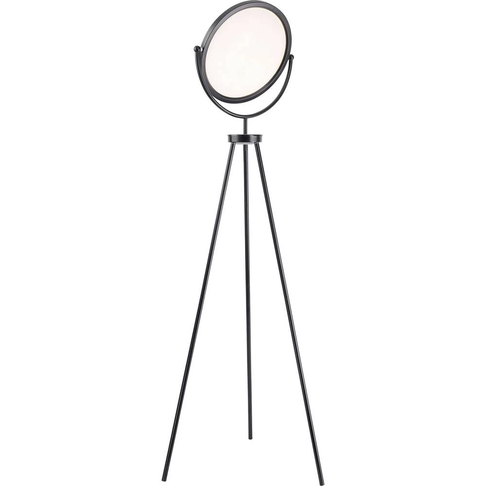 LED podna svjetiljka 22 W Toplo-bijela LeuchtenDirekt Carl 11380-18 Crna slika