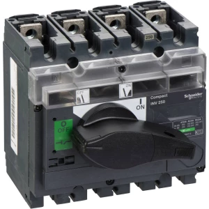 Teretna rastavna sklopka 250 V/DC, 690 V/AC 250 A Schneider Electric 31167 1 ST slika