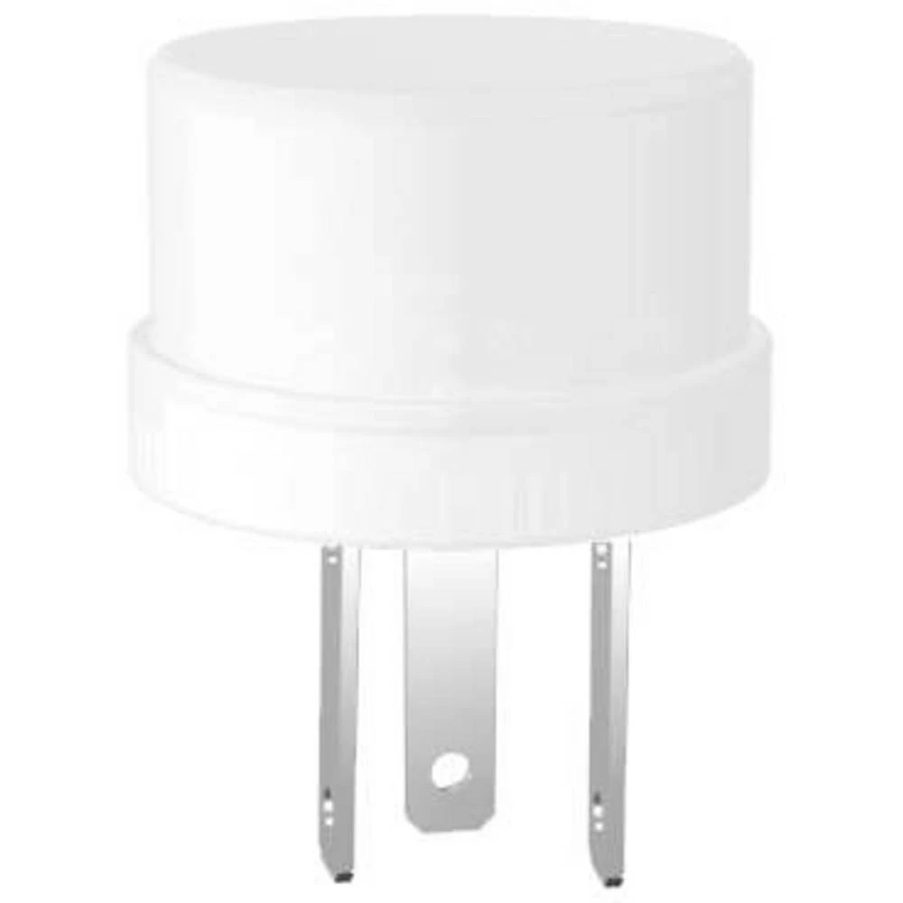 Signal Construct LE18212 LED višebojni bijela (raspršena) 12 V/DC slika