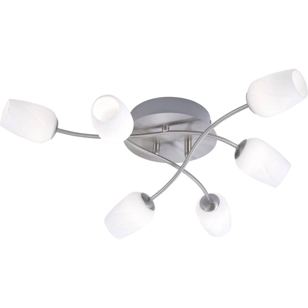 Paul Neuhaus ANASTASIA 6563-55 LED stropna svjetiljka ATT.CALC.EEK: LED (A++ - E) 18 W Toplo-bijela Plemeniti čelik, Bijela slika