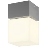 Vanjska stropna svjetiljka LED, Štedna žarulja E27 20 W SLV Square 1000337 Plemeniti čelik