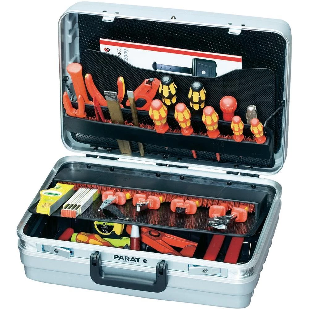 Tvrd kofer, srebrni slika