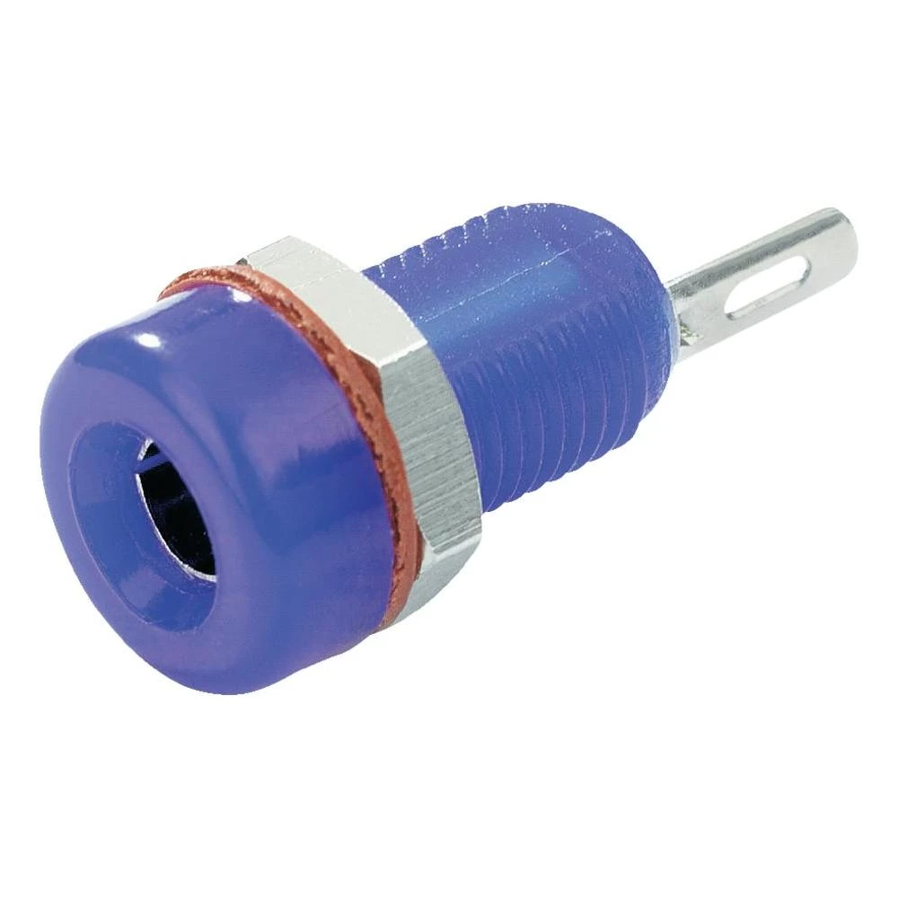 Bananska utičnica, plava SCI slika