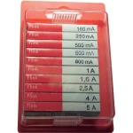 ESKA komplet varovalk, hitre,5x 20 mm brz, sadržaj:100 komada